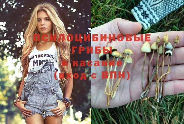 метамфетамин Богородицк