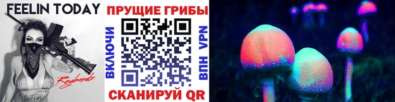 МЕГА рабочий сайт  Минеральные Воды  Псилоцибиновые грибы Cubensis 