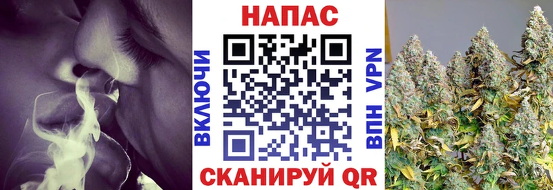 Конопля MAZAR  Минеральные Воды 